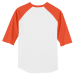 Sport-Tek Colorblock Raglan Jersey.